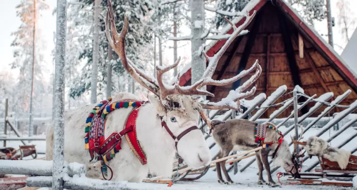 ASPETTANDO IL NATALE: IN LAPPONIA!